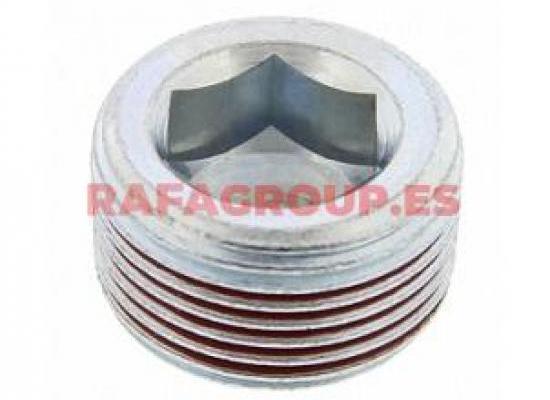 RG0896 - Tapón roscado, carter